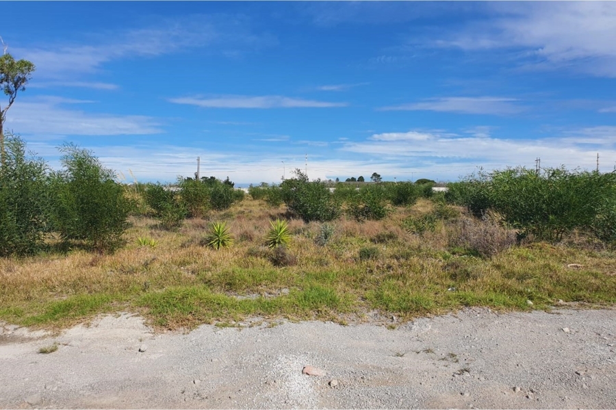 0 Bedroom Property for Sale in Greenbushes Industrial Park Eastern Cape